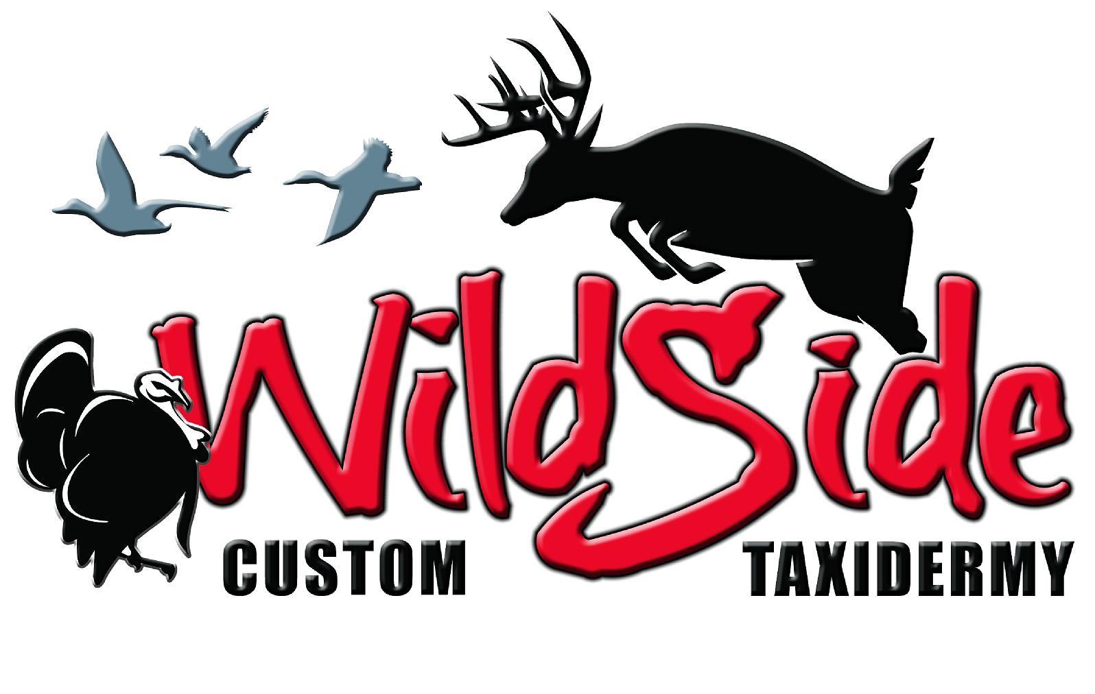 Wildside Custom Taxidermy